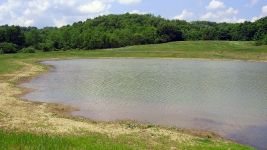 Open Water Component of Created Wetlands
